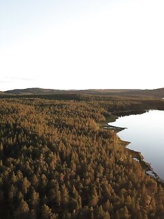 Белое море, Чупа Чкаловский острова: джиг по треске и река рядом работает