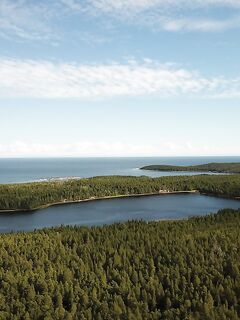 Чупа через «Аурелию»: по треске «голяк», бонус — щука 4.800 на озере