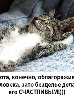 «Ждать и надеяться»: короткая пауза перед следующим окном погоды