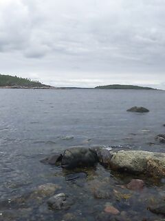 Сидоров, Никольская, Шарапиха: зубатка эпизодом, треска — два вечера