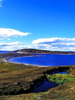 «Зарядило по-карельски»: дождь целый день — успели до ливней