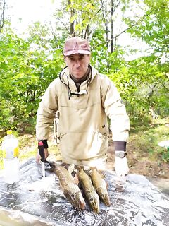 Хищник пошёл, но мелковат: короткие выходы и осторожные поклёвки