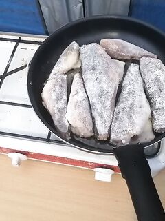 «В такую погоду волнам не верь»: к Соколке не пошли, ламинария, мидии и ягоды