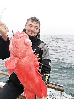 Трофей «редкая скотина»: вкус подтвердили, вид не уточняли — и ладно