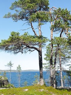 Старожилы ветки: Алексей и NikK, больше фактов — меньше пафоса, острова не резиновые