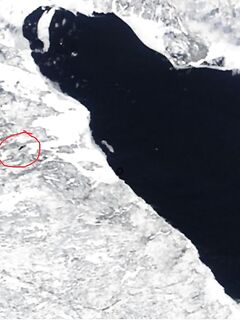 Южак дует, промоина у Оленьего растёт — к майскому броску готовимся, где треску искать?