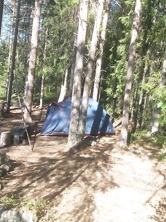 Палатка стоит брошенная четвёртый день — никого не видно