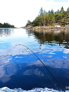 Прилив и отлив рулят: сначала тишина, потом подошла треска и зубатка, наживку съедали в ноль