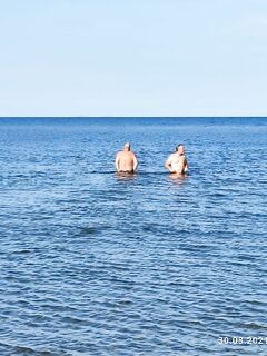 У Сидорова пикник и купание, по рыбе грустно — две белухи шли в залив, ждём селёдку