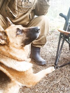 Чкаловский сейчас: фото природы, питомец в кадре и чем занят Valentin — мини-дайджест