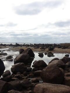 Дорога нормальная — езжай, если есть желание, остальное приложится