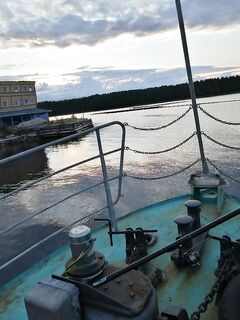 Три дня в заливе: камбала и наважка, зубатка единично; мидии — огонь