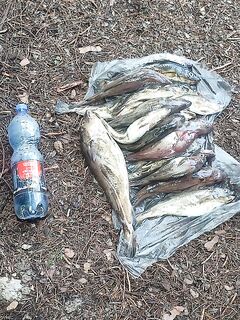 Вечер у Чкаловского: за 2–3 часа норм, коптилка ушла в дело, Полине каша