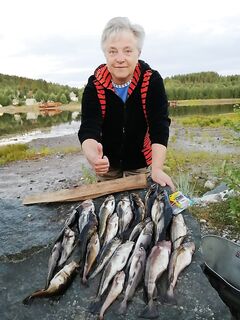 Грибы пошли, по рыбе: утром 16, вечером 21 и крупнее — распогодилось