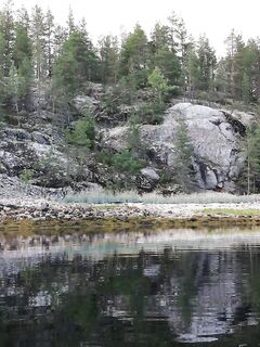 У Оленного вечер порадовал: три зубатки и треска, вернулись в 23:30