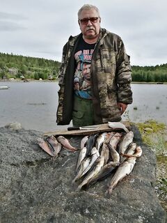 Зубатка держится на вчерашнем месте, к обеду поднялся ветер — ушли