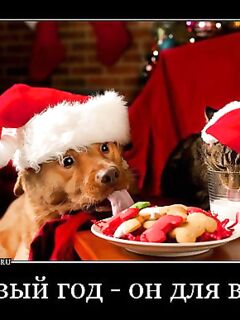 С наступающим Новым годом: встречи на берегу и добрые уловы в Чупе