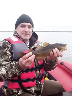 Ехать ли сейчас: смотрим прогноз, окно по приливу и волну у Чупы