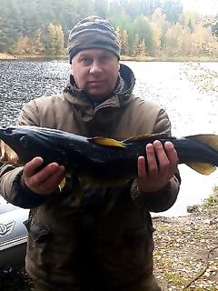 Треска 3 400 на джиг в Пулонге: сентябрьский разгон, морская рыбалка на Белом море