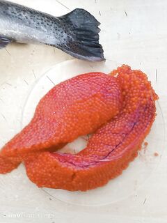 Скорее бы скинуть лодку и умчать на Пежостров дней на пять — камбалы хочу