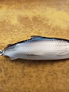 С Юрой на соревнования — боремся за Чупу, в арсенале Rapala Jigging Rap и финки