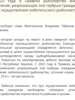 «Столица на Онего»: вырезка из карельской газеты по теме — сохранил