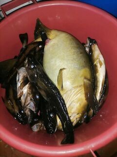 «И лёд и клюёт» — смешно, но по факту берёт