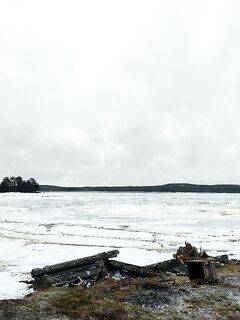 От метели до +8 за сутки: перемычку у Пулонги скоро разобьёт, зверьё ожило
