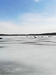 От Чупы до губы села Кереть — тюленей тьма, коптер им не в диковинку