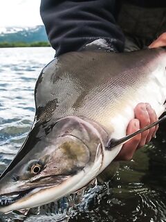 Про снасть «такая нужна» — где взять и что именно искать?