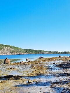 Лодейная: домик у точки ближе к горлу, у самой точки камни и болото