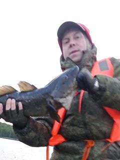 Сезонный минимум закрыт: «трещёчка на трёшечку» съедена ещё в июне