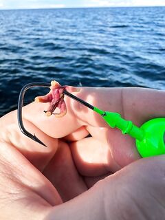 Чупа, Пежостров и «губа летняя»: штормовые первые дни, потом раздача трески до 2+ кг