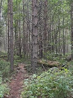 Белое море, Чупа — разминка по-серьёзному: намечаю ведёрко, курнул и до победы