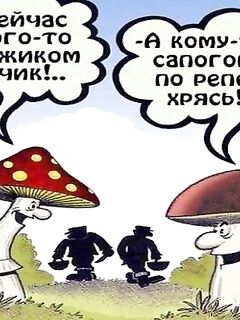 Белое море, Чупа — перепост из «весёлых фоток» для настроения, простите правообладателя