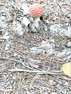 Чупа — коротко о главном: «они... красавы», без слов понятно, когда море рядом