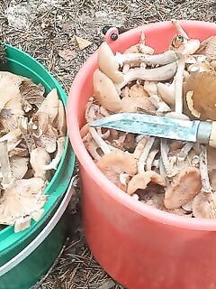 Соседка на «фольксе» гонит 130, сам в двери вцепился — лучше уж в море, чем такие покатушки