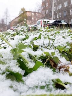 200 км от Чупы: зимушка подступает, следим за дорогой и льдом перед выходом к морю