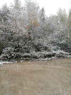 В Карелии зима дотянулась до Чупы — готовим снасти и ждём погоды на выход