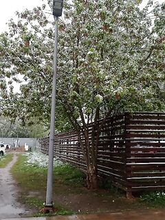 Москва отозвалась: тут тоже зима)))