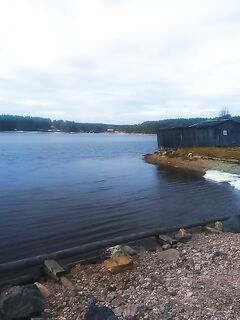 Чупа: +9, в лесу ещё много снега, залив открывается на глазах