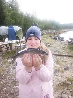 Белое море, Карелия, Чкаловские: морская донка, сиг и загадочная «селёдочная» добыча