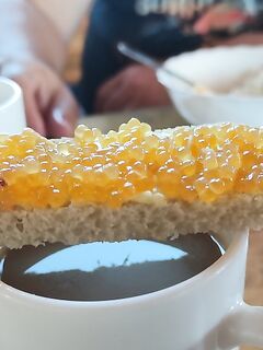 Встречи с форумчанами, по рыбе вяло, но зубатка и треска нормального размера