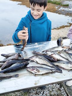Вечерняя рыбалка удалась, выход с 19:30 до 21:00