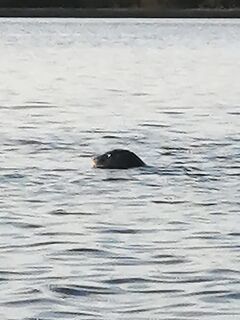 Остров Кереть вместо Сидорова — ветер держал, но рыбалка зашла