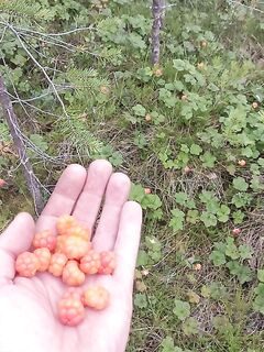 Поездка в Чкаловский: реверсы, связь, погода огонь, рыбалка средняя