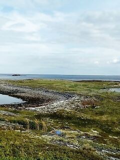 Фото 2021 по «кораблю-мишени» за Сидоровыми, в заповедник не суёмся