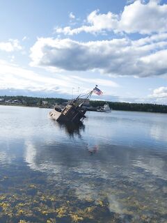 Корабль есть и такой, по снимкам сходится — пойдёт