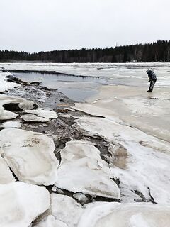 Рыбалка на Белом море: навага отметилась, идёт ровно