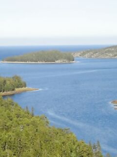 Горбуша в Белом море, пусть клюёт тем, кому в радость